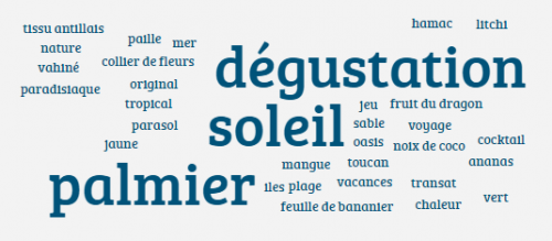 Capture d'écran : nuage de mots collaboratif réalisé avec Answergarden {PNG}