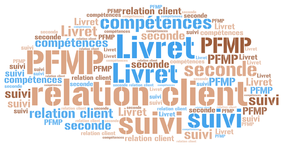 FAMILLE DES METIERS DE LA RELATION CLIENT > Seconde MRC - Livret De ...